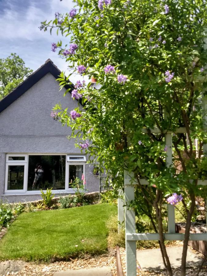 Bed and Breakfast Pentre Isaf Conwy Exterior foto